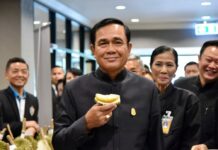 Poll Claims Over Half Support Prayuth’s Return as PM
