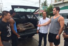 Drunk Full Moonites Accused of Stealing Restaurant’s Wooden Elephant