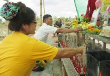 Lotto Lovers Look for Luck in ‘Magic’ Mango Tree