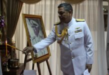 Mid-Ranking Defense Secretary Named King’s Adviser