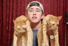 Police Investigate YouTuber for ‘Cat vs. Scorpion’ Animal Cruelty