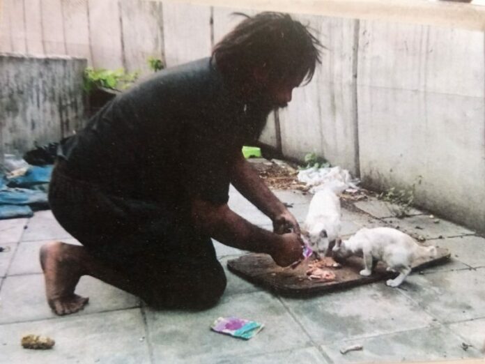 Somsak Yaluemdee feeds stray kittens in a photo posted April 5. Photo: Cat Lover Uncle Black / Facebook