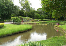 Residents Rally to Save Bangkok Riverside Park