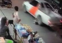 Netizens Rage Over Dog Killed in Truck Hit-And-Run