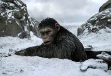 Review: A Thrilling Epic in ‘War for the Planet of the Apes’