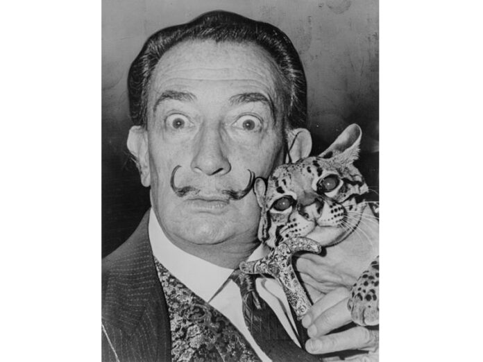 Salvador Dali seen here with Babou, his pet ocelot. Photo: Roger Higgins / Wikimedia Commons