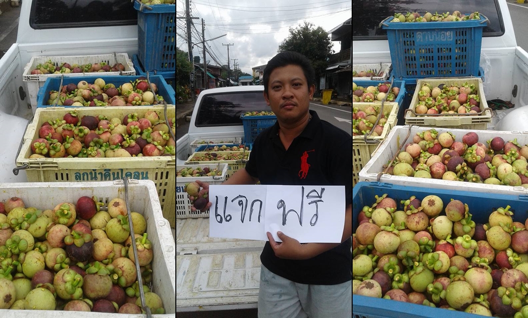mangosteen