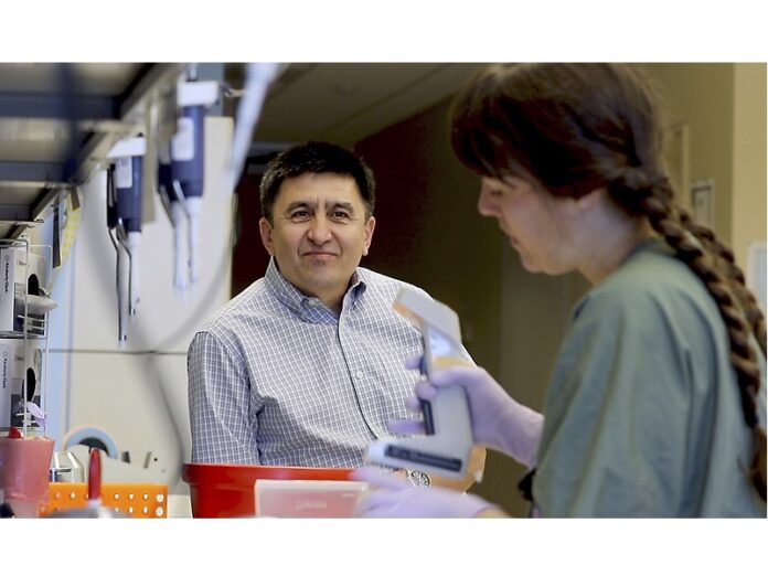 Shoukhrat Mitalipov, left, talks with research assistant Hayley Darby in the Mitalipov Lab at OHSU Monday in Portland, Oregon. Photo: Kristyna Wentz-Graff / Associated Press