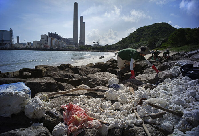 A volunteer collects congealed palm oil Tuesday which has blanketed the shores of Hong Kong's Lamma Island. Photo: Vincent Yu / Associated Press