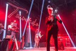 Tuxedo in Bangkok: Down to Funk, Dressed to Chill