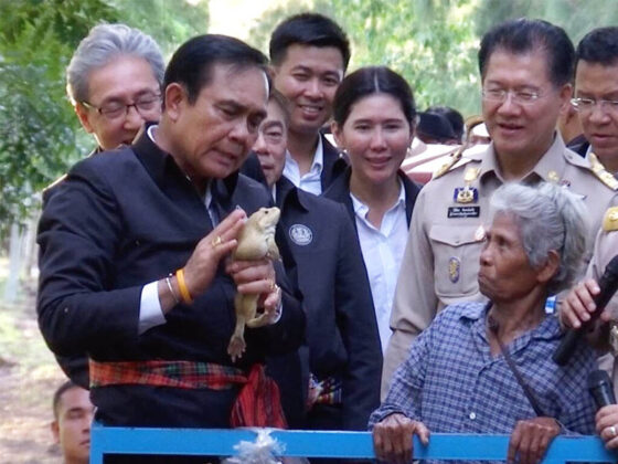 prayuthfrog