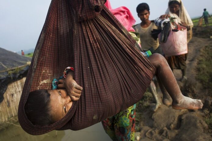 A Rohingya child is carried on a sling while his family walk through rice fields Tuesday after crossing the border into Bangladesh near Cox's Bazar's Teknaf area. Photo: Bernat Armangue / Associated Press