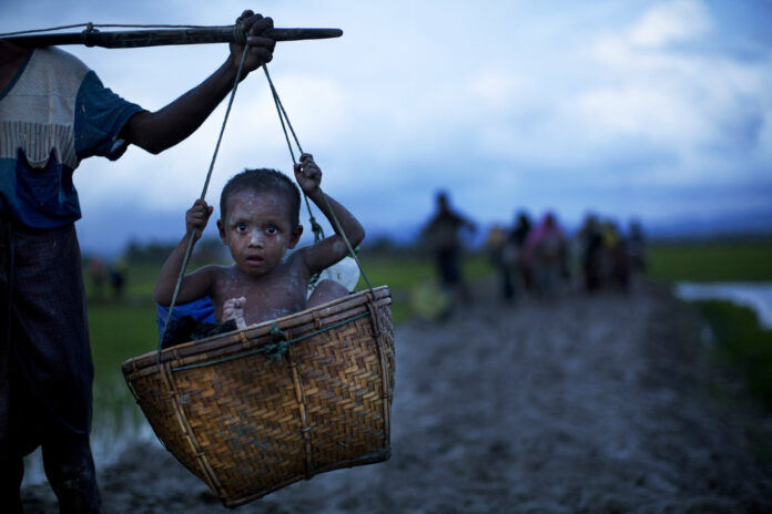 A Rohingya child from Myanmar is carried in a basket past rice fields after crossing over to the Bangladesh side of the border last year near Cox's Bazar's Teknaf area. Photo: Bernat Armangue / Associated Press