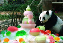 14 Photos From Thai News That Are So Last Week