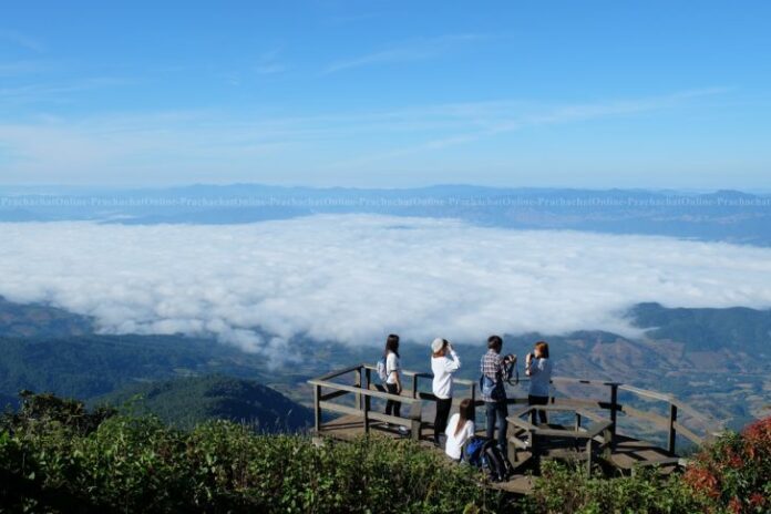 A file photo of Doi Inthanon in Chiang Mai. Photo: Prachachat