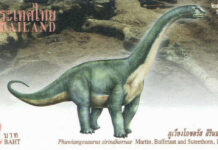 Largest Herbivore Fossil in Thailand May Be New Species