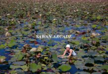 Play at Dystopia in One-Woman Show ‘Sawan Arcade’
