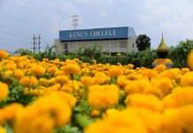 Marigolds Bloom for King Bhumibol Nationwide (Photos)
