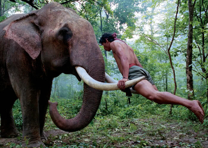 Tony Jaa in Ong Bak 2.