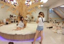 Siam Square Animal Cafe ‘Kitties and Bears’ Shut Down