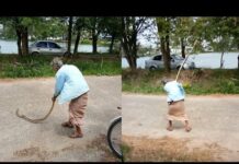 Angry Surin Granny Goes Beast Mode on Snake (Video)