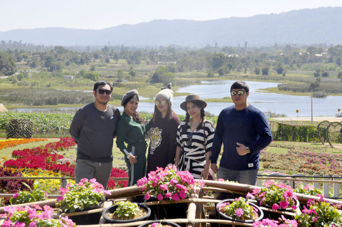 Tourists don sweaters and knitted hats to visit Suan Phum Prueksa for its winter flowers Monday morning in Nakhon Ratchasima province.