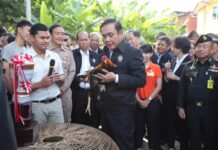 ‘Don’t Fear the NCPO,’ Junta Leader Tells Cock