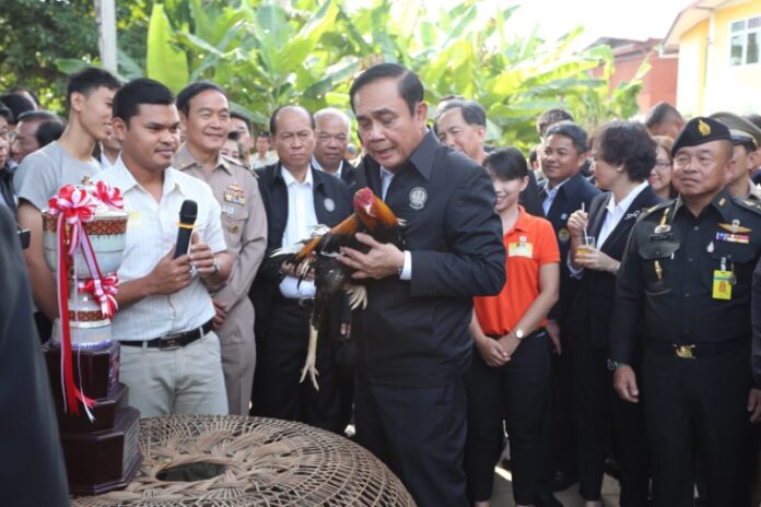 Junta leader Prayuth Chan-ocha caresses a chicken Monday in Phitsanulok.