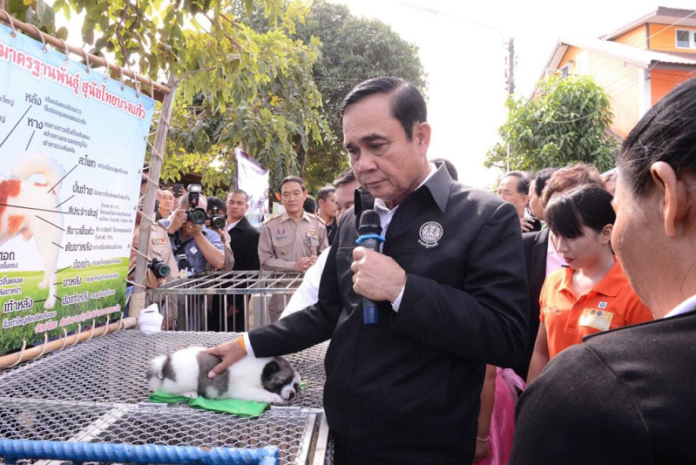 Junta leader Gen. Prayuth Chan-ocha caresses one of three dogs he purchased last December in Sukhothai.