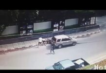 Two Israelis Arrested at Airport Over ‘Mafia’ Hit on Samui