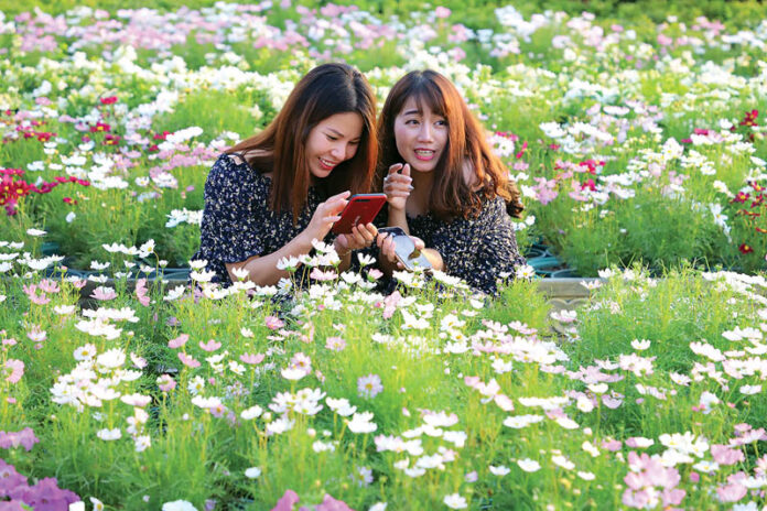 Visitors at the “Oon Ai Ruk” Winter Festival which runs until March 11 at Dusit Palace.
