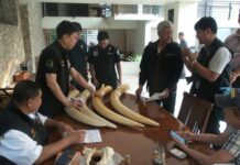 Rangers: Premchai Ate the Leopard in a Soup