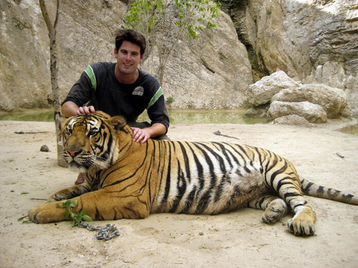 Photo: Matt Mangam / Flickr Photo: Matt Mangam / Flickr