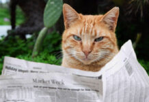 From the Editor: 10 Ways Thai Media Can Fail Less