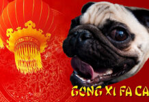 Begin Year of the Dog Howling at These Bangkok Events