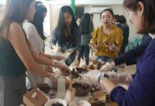 Learn To Prepare Raw Japanese Food Preparing some Macha Cocoa Brownie. Photo: Vegan Crush / Facebook