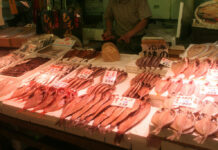 Officials Insist Fish Imported From Fukushima is Safe