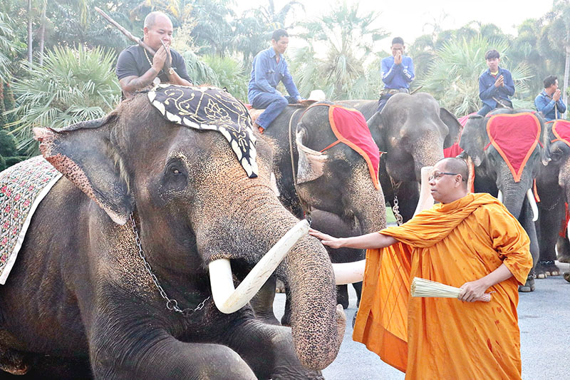 Everything Elephant as Thailand Celebrates National Animal (Video)