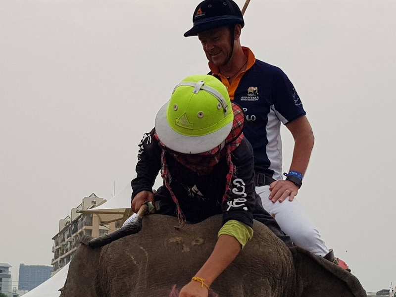 A mahout (front) seen wielding what appears to be a bull hook covered in electric tape, Saturday during the elephant polo tournament.