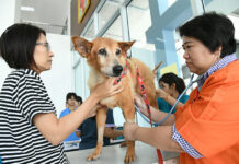 6 Deaths From Rabies Since Start of 2018: Officials