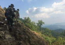 Air Force Joins Hunt for Missing Japanese Hiker