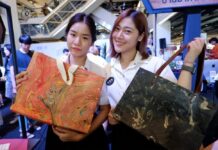 Urban Youngsters Develop Tourism for Rural Destinations