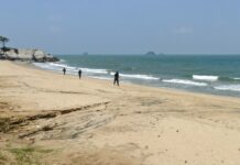 Shark Attack! Hua Hin Beach Closed to Swimmers