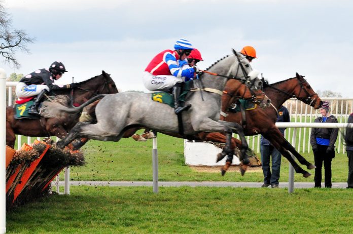 Horce racing. Photo: Paul / Flickr