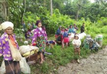 UN Expert Has ‘Grave Concern’ About Myanmar Fighting Kachin civilians displaced by fighting between the Myanmar military and Kachin guerrillas take shelter in a jungle close to Tanai, northern Kachin state, Myanmar Thursday. Photo: Labram Hkun Awng / Associated Press