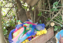Divine Penis Anthill Erupts With Lottery Mojo For Yasothon