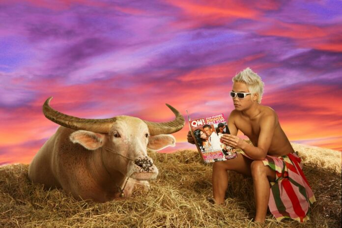 An image from ‘Save Thai Buffalo.’ Image: Maitree Siriboon / Courtesy