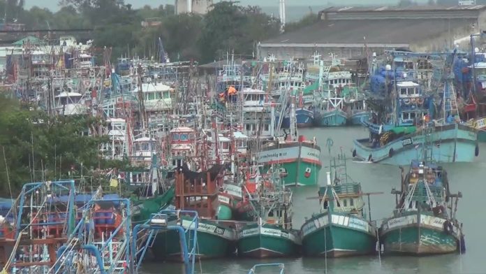 Fishing boats docked in protest Monday at Pattani Port.