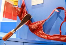 Go Beyond Binary at Museum Siam’s Gender Illumination (Photos)