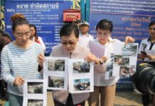 Truck-Smashing Aunties Get Lenient Sentence